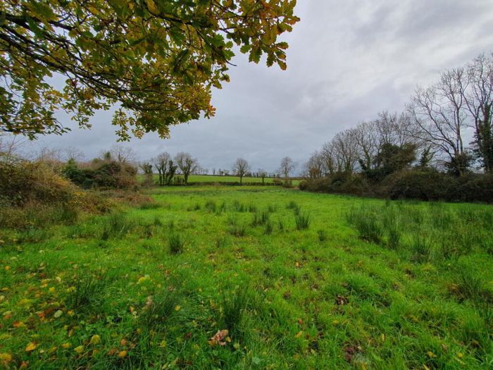Derrylea Road