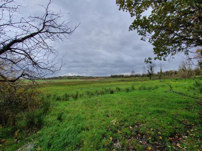 Derrylea Road
