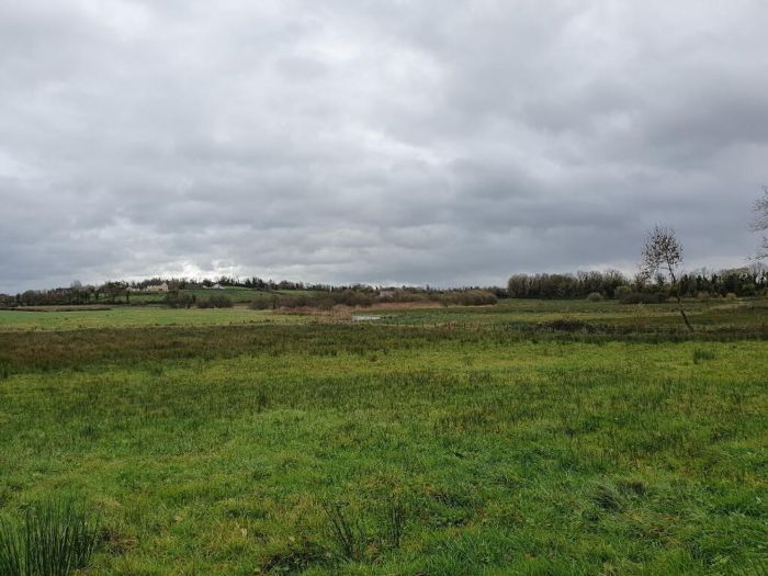 Derrylea Road