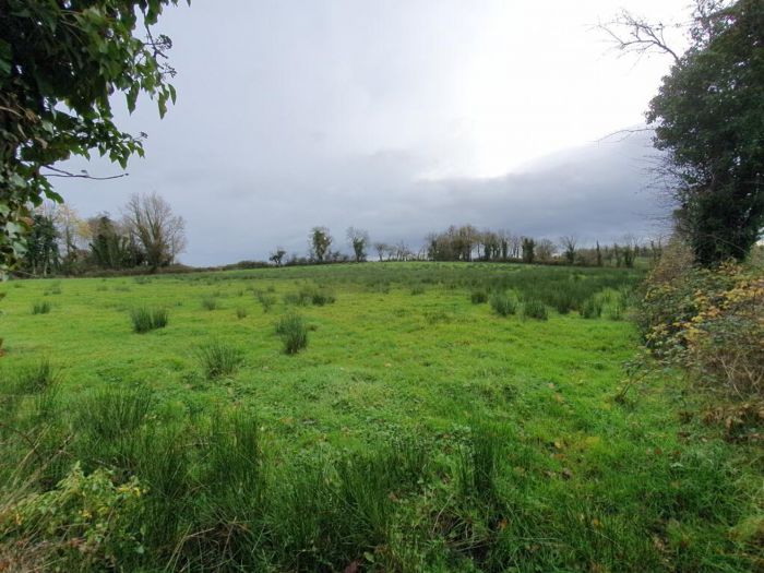 Derrylea Road