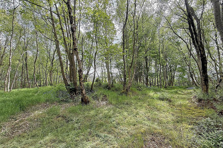 25 Seneirl Road, Castlecatt