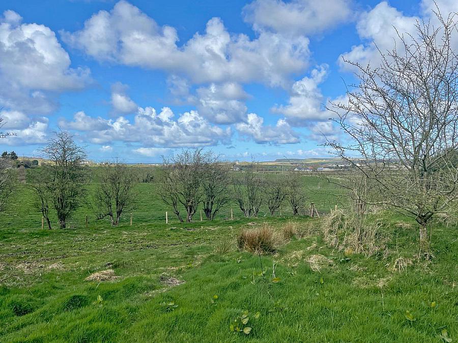 Site At 79 Ballyclogh Road