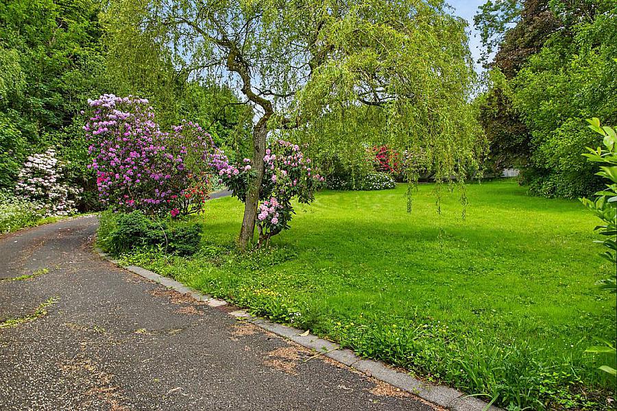 103 Charlotte Street