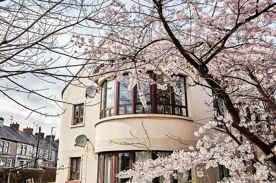 4 Lodge Court, Lodge Road