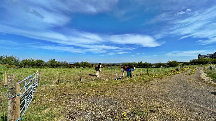 Site 420m N Of 242 Windyhill Road Macosquin