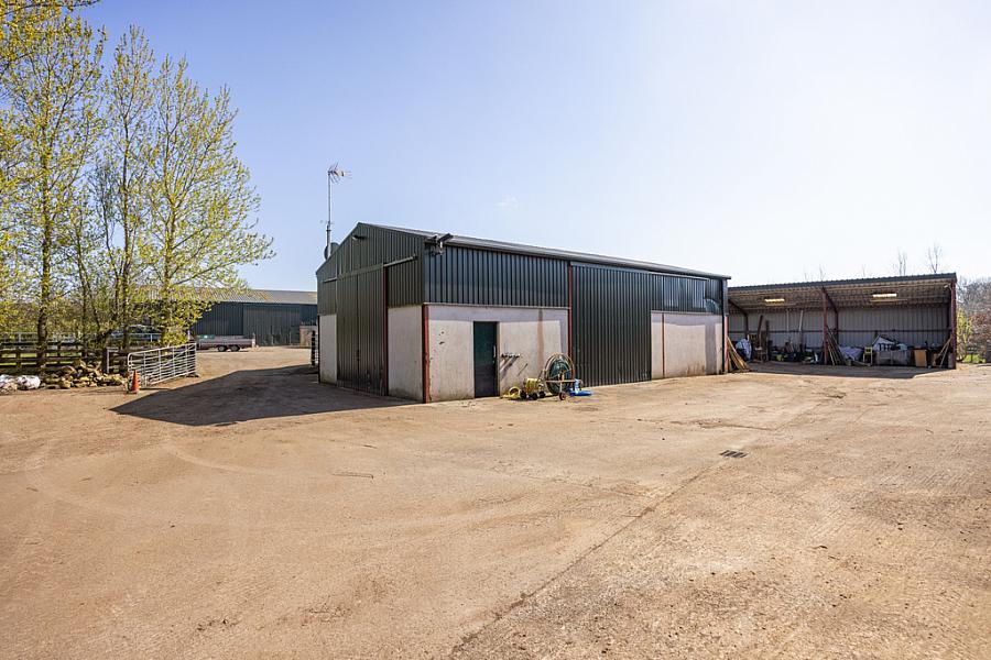 Hollytree Farm 57 Ballyclare Road