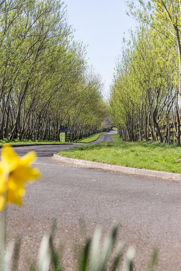 Hollytree Farm 57 Ballyclare Road