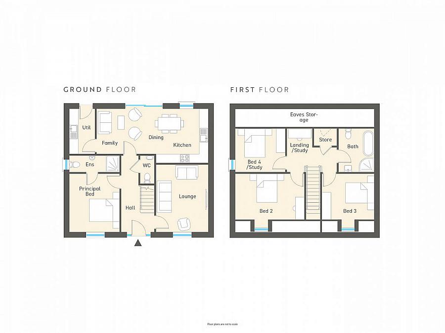 355 Henley Hall, Mountsandel