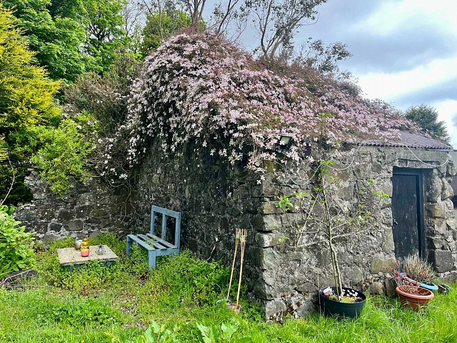 61 Starbog Road