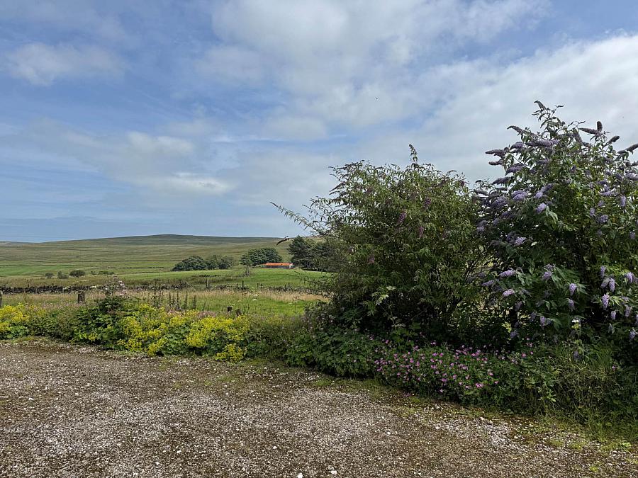 61 Starbog Road