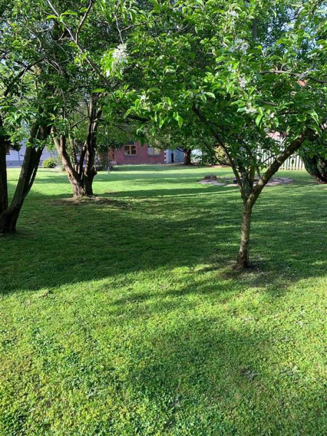 3 Rose Meadows