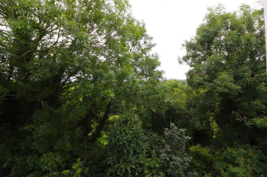 6 Orchard Close