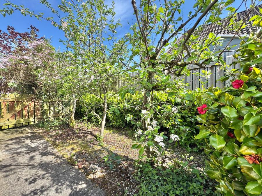 5 Gleannan Close