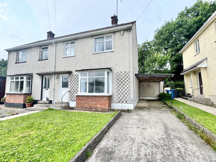 60 Cannon Dale