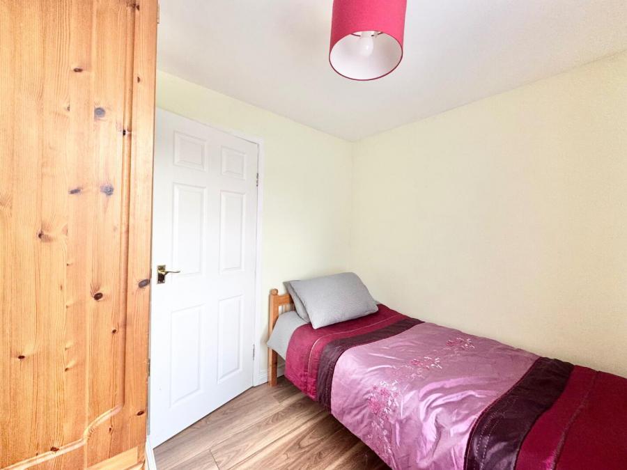 60 Cannon Dale