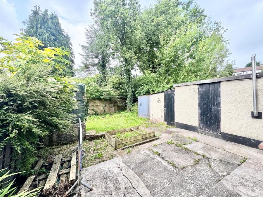 60 Cannon Dale