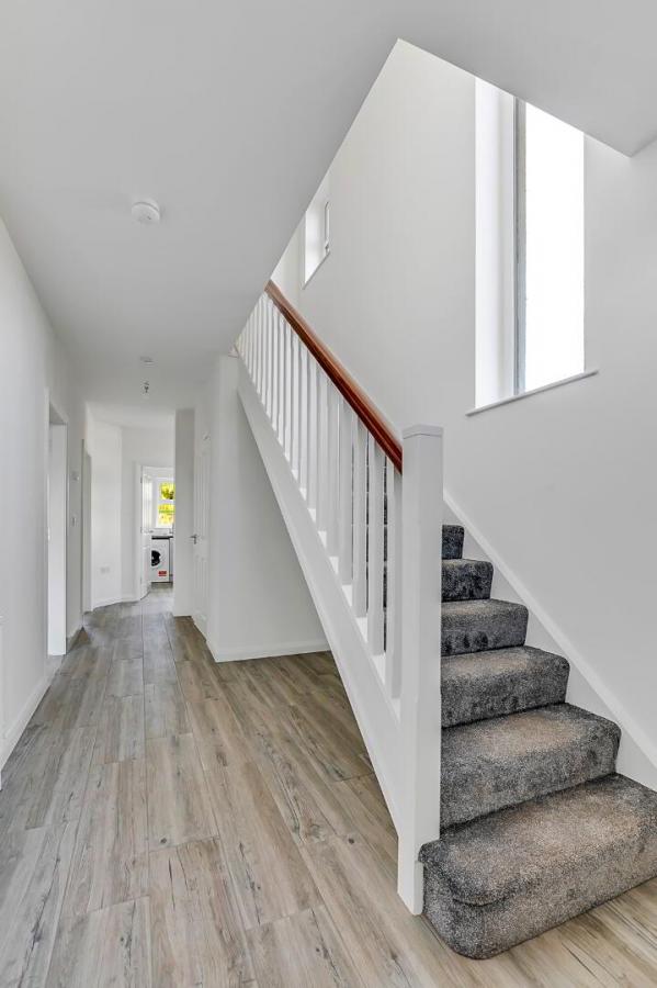 Std Semi New Year Completion, 115 Loughmuck Meadows