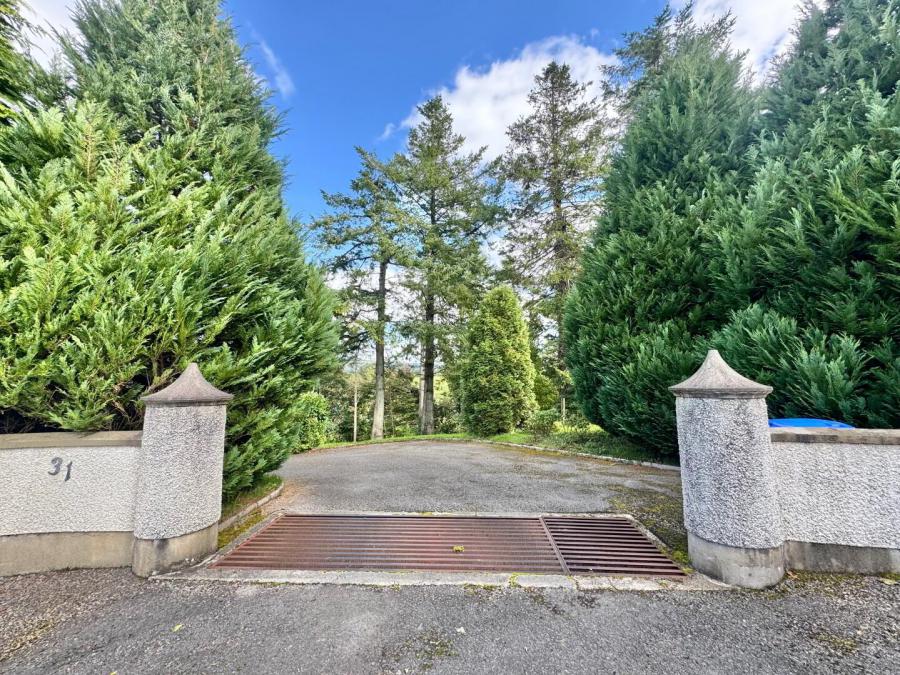 31 Dunmullan Road