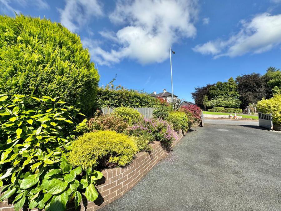 13 Carnalea Road