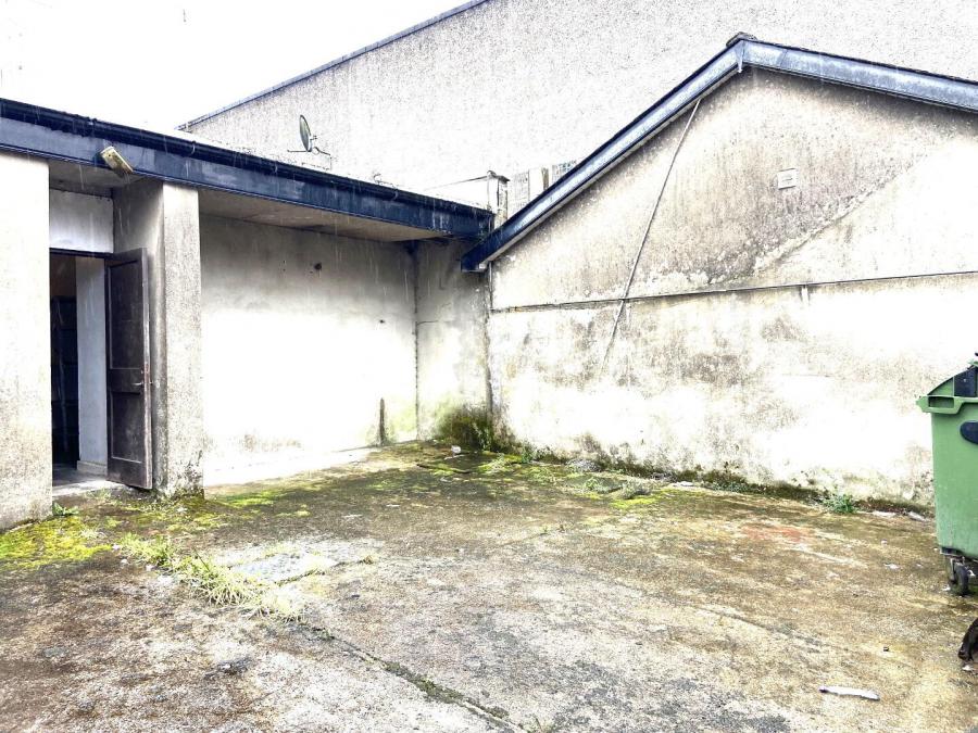 6 Campsie Road
