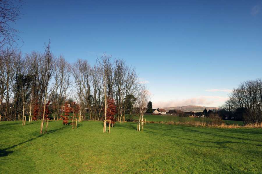 Apartment 98 The Rose Garden