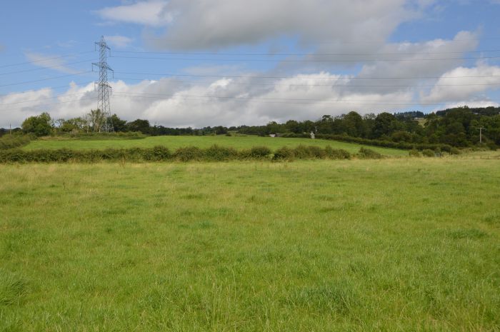 54 Lower Ballyboley Road