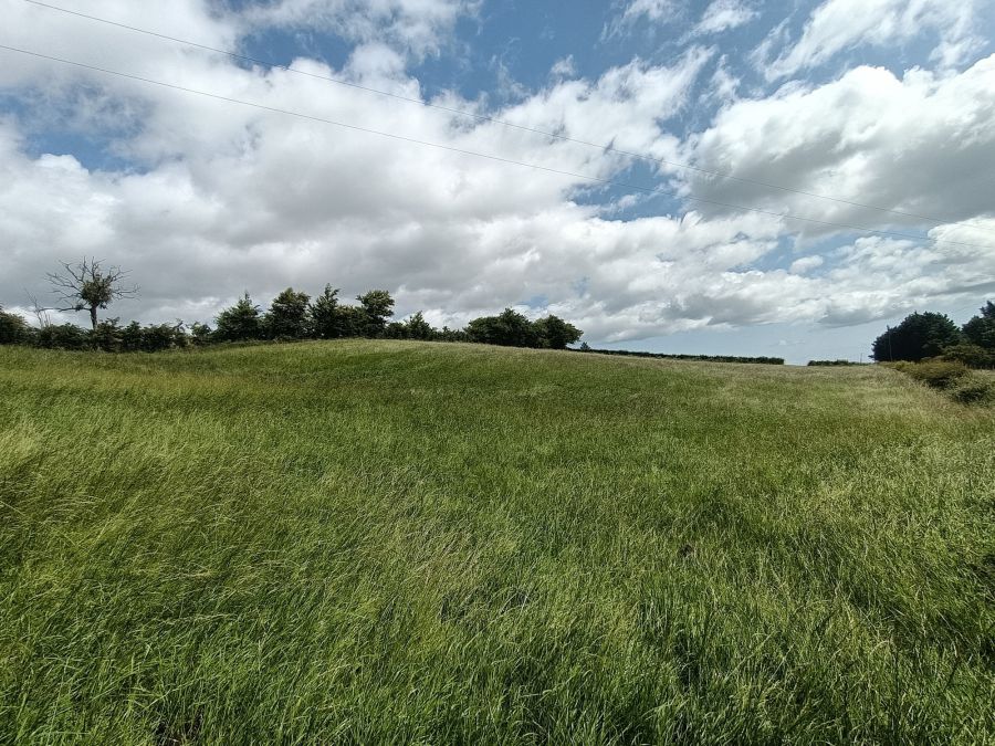 Liberty Road