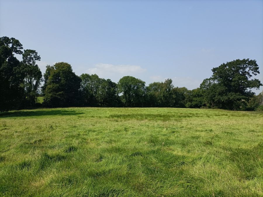 Glenavy Road, Lisburn Area, Lisburn, BT28 3UP