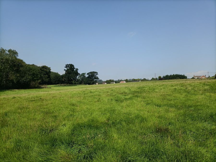 Glenavy Road
