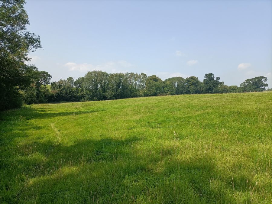 Glenavy Road
