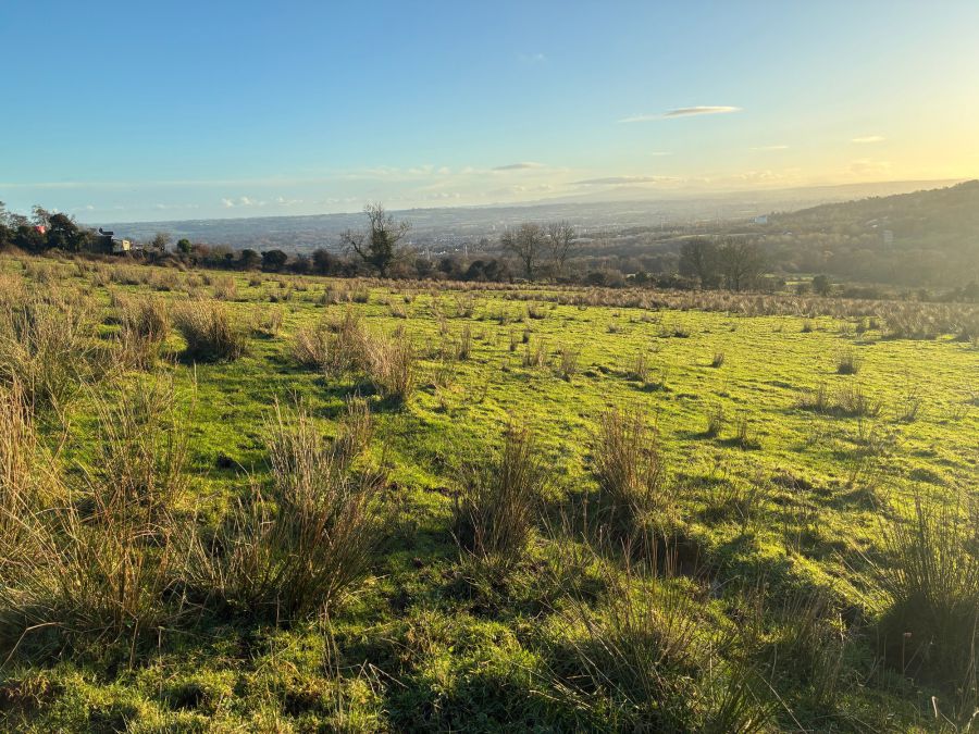 Upper Springfield Road