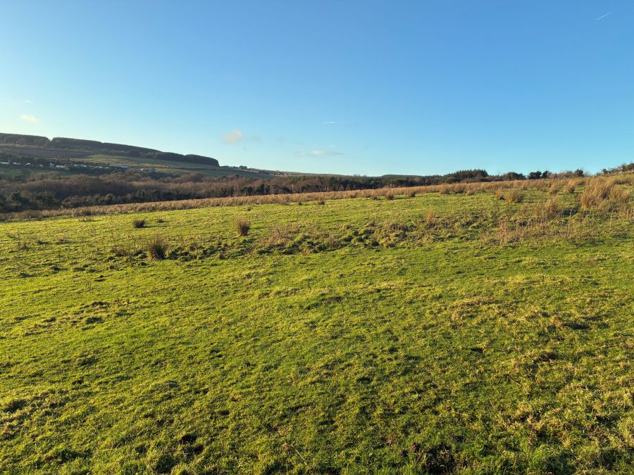 Upper Springfield Road