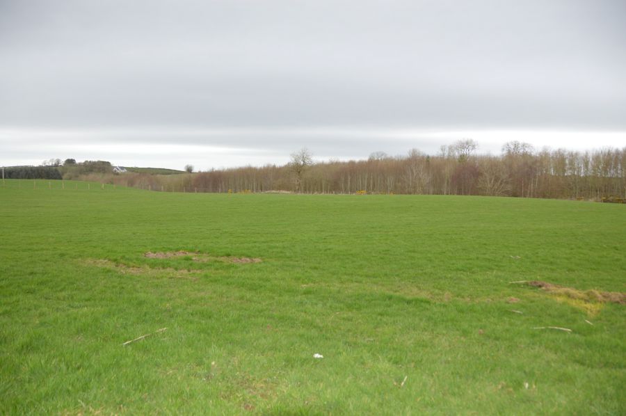 Islandmore House , 136  Gracehill Road