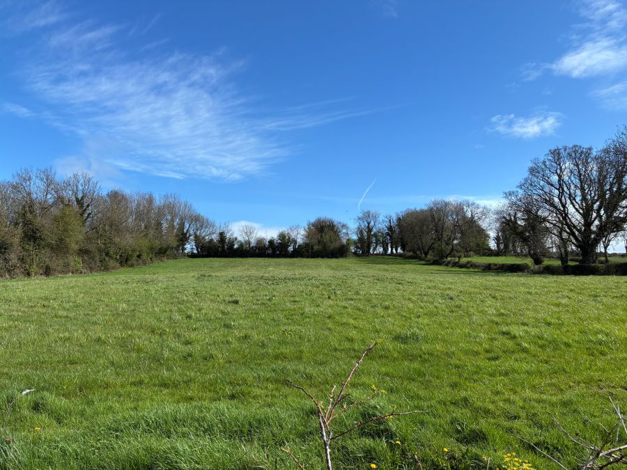 226  Lisnevenagh Road