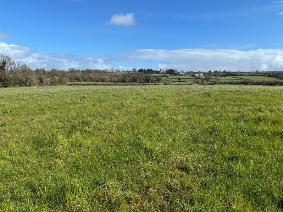 226  Lisnevenagh Road