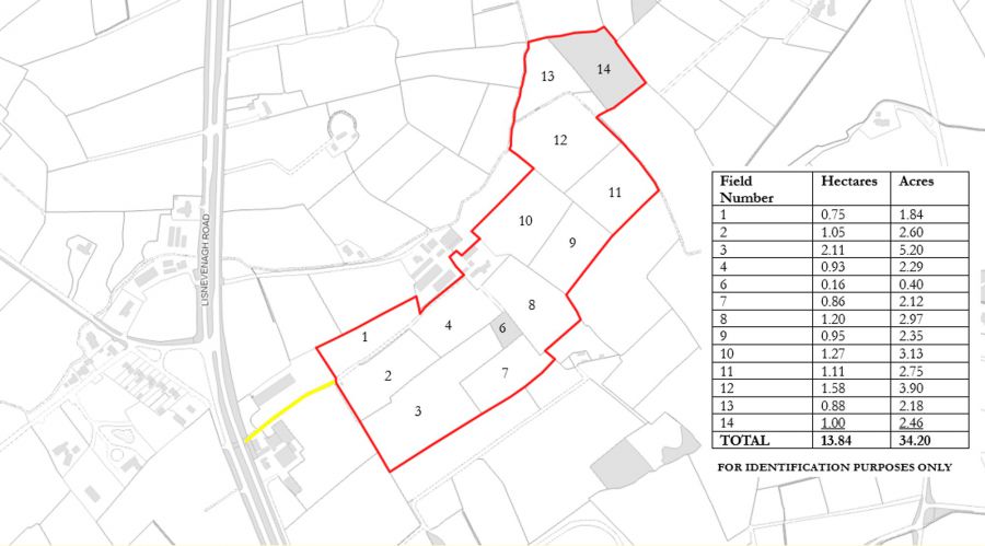 226  Lisnevenagh Road