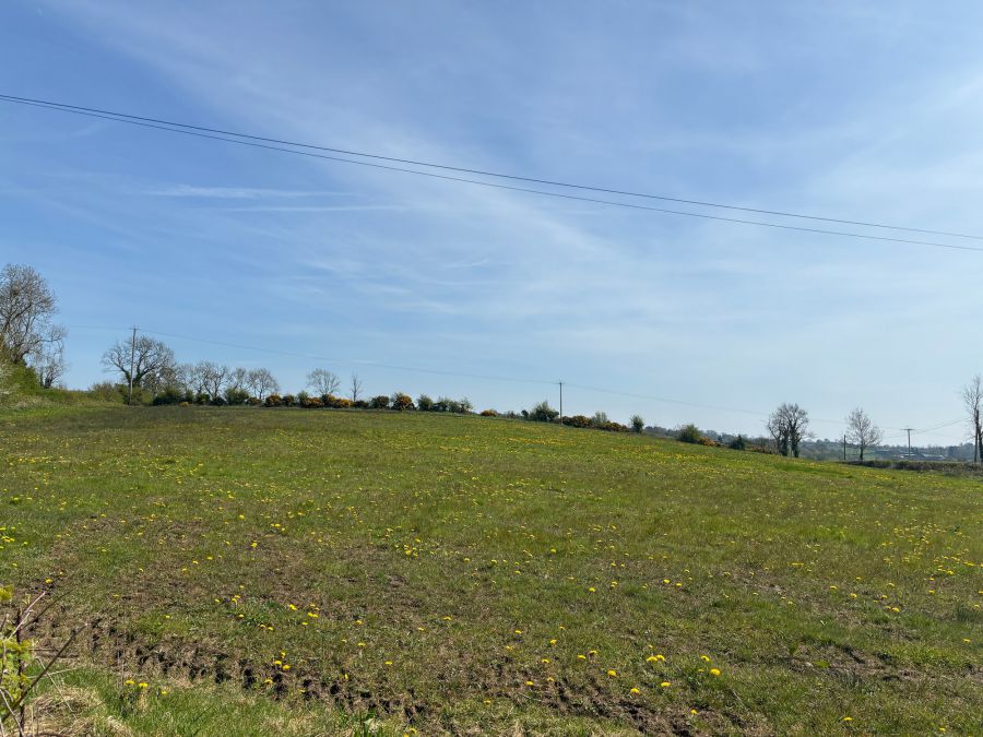 Portersbridge Road / Killultagh Road