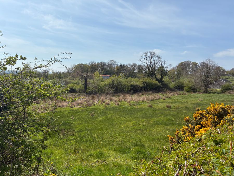 Portersbridge Road / Killultagh Road