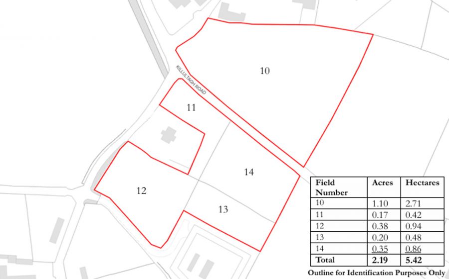 Portersbridge Road / Killultagh Road