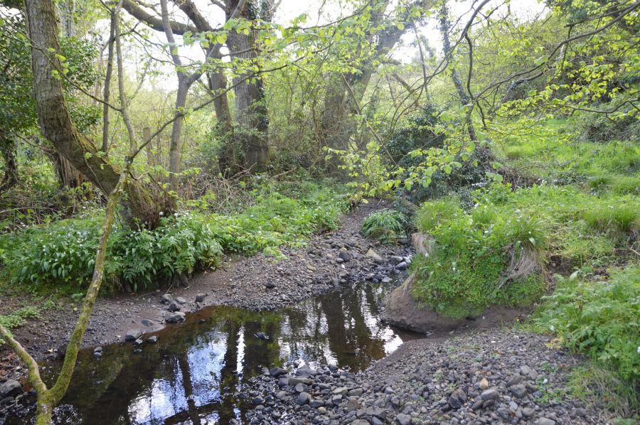 Innismena Farm, 3  Bann Lane