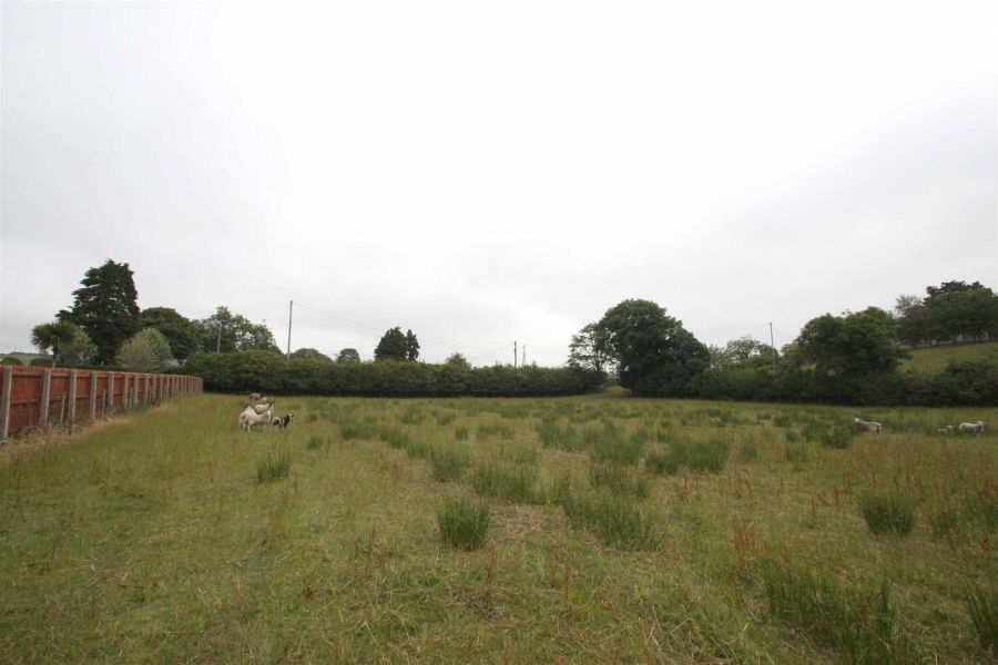 Right Hand Site, Adj 39 Downpatrick Road
