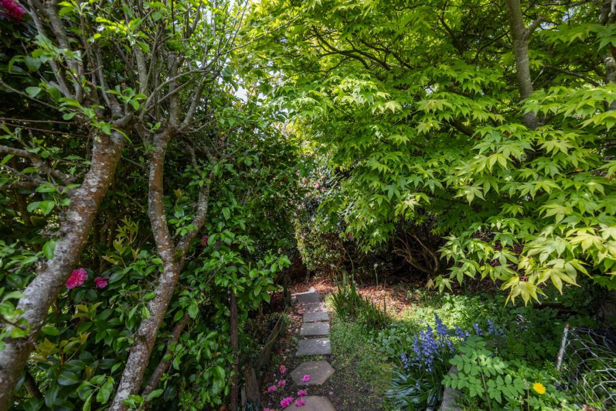 Arolson, 47 Roughal Park