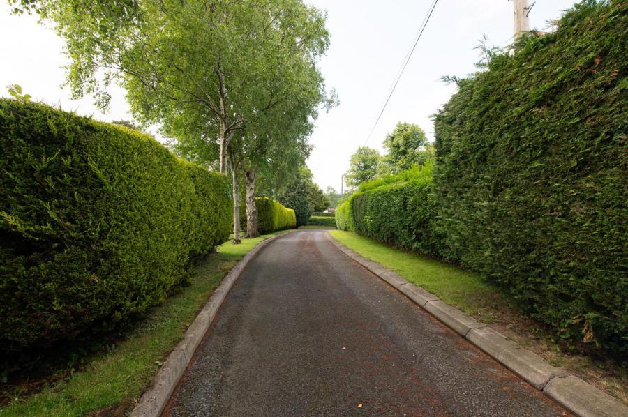 252A & 252B Castlewellan Road