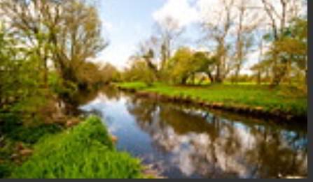 10 Donaghcloney Road