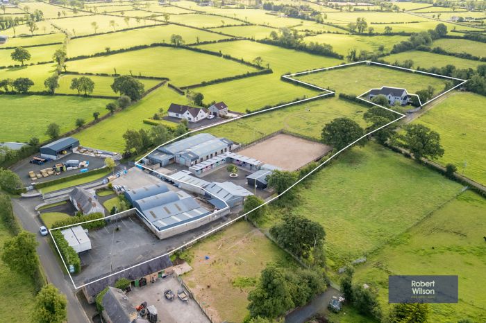 Tullynewbank Stables