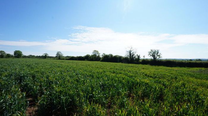 Site C N of 33  Largy Road