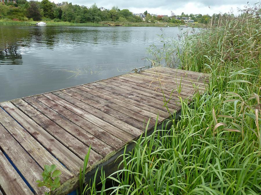 6 Lakeview Park