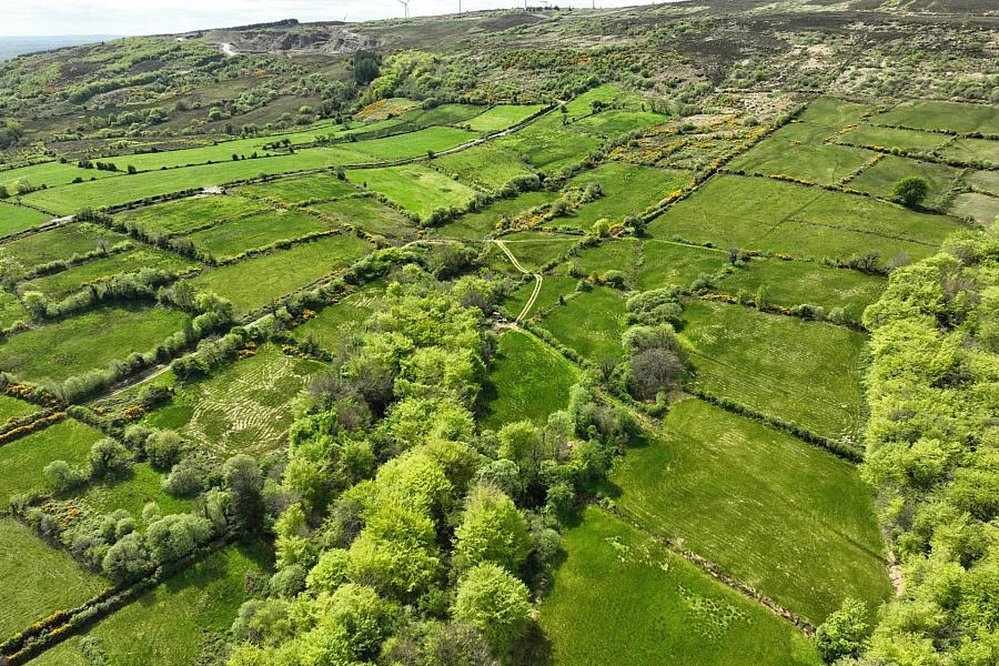 Land At Gortahurk Gortahurk