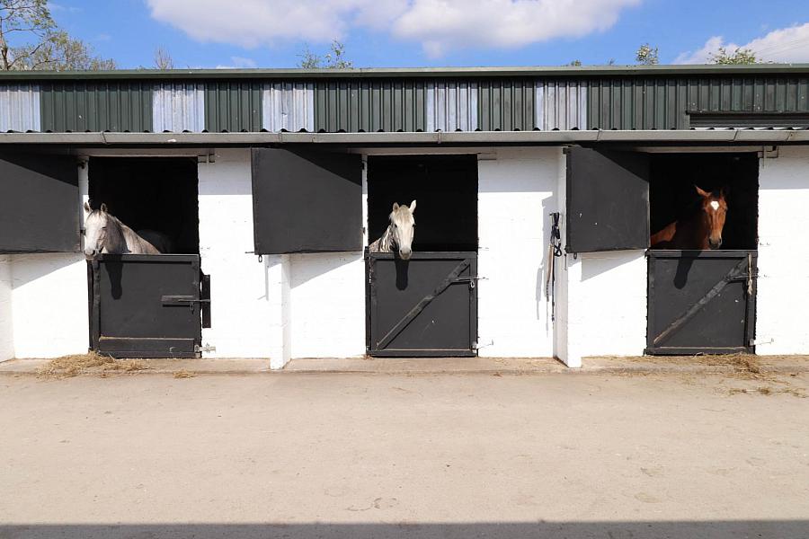 Drumralla Stables Drumralla Road
