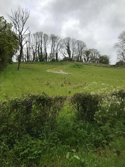 Granshagh, Big Culkey